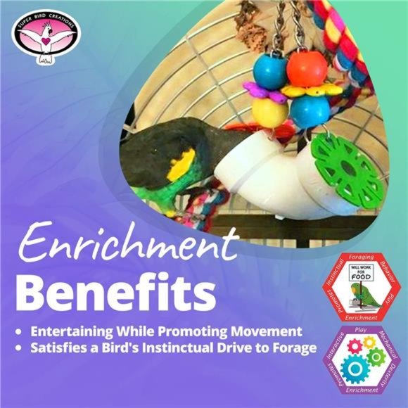 PVC Forager Bird Toy, Medium/Large Bird Size, 3” x 5” x 8” - Picture 5 of 7